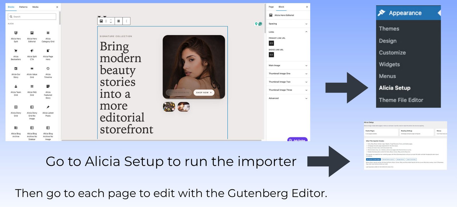 Alicia Importer Directions